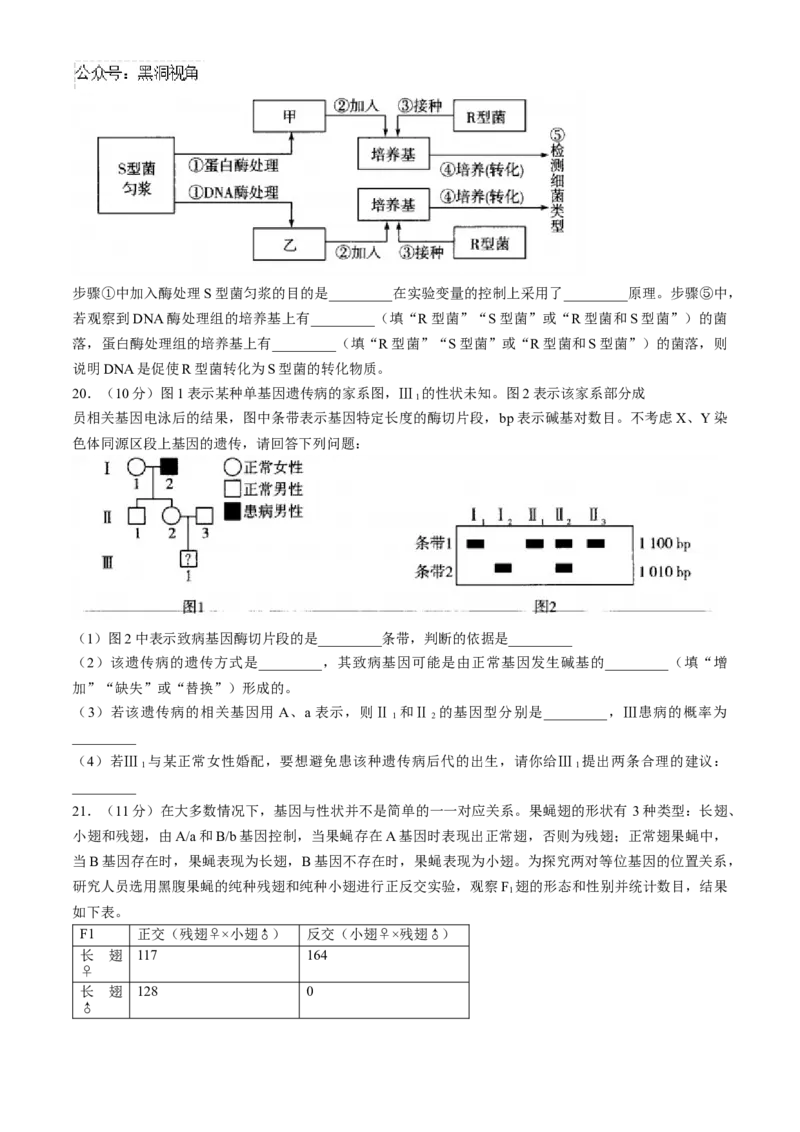 山西省部分学校2024-2025学年高三上学期学情监测生物试题_2024-2025高三（6-6月题库）_2024年11月试卷_1119山西天一大联考2024-2025学年高三期中调研考试