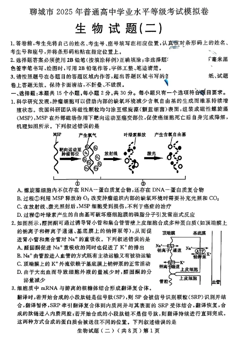 山东省聊城市2025年高考模拟试题（二）生物+答案_2024-2026高三（6-6月题库）_2025年04月试卷_0429山东省聊城市2025年高考模拟试题（二）（聊城二模）（全科）