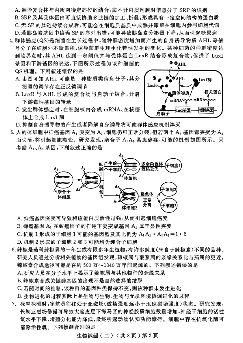 山东省聊城市2025年高考模拟试题（二）生物+答案_2024-2026高三（6-6月题库）_2025年04月试卷_0429山东省聊城市2025年高考模拟试题（二）（聊城二模）（全科）