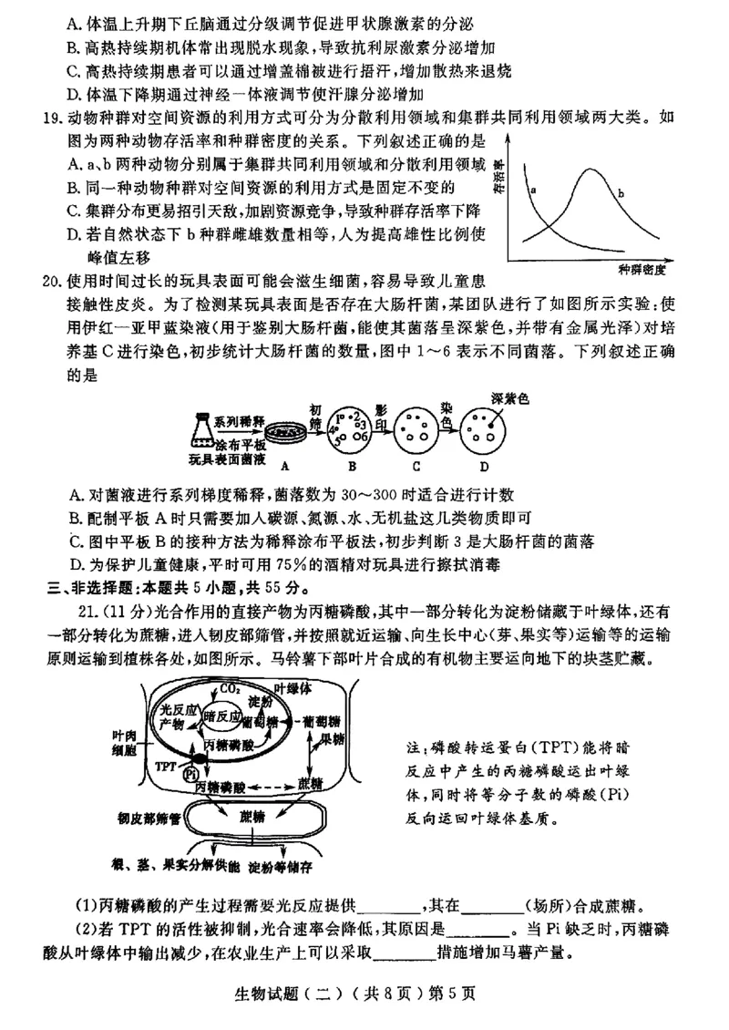 山东省聊城市2025年高考模拟试题（二）生物+答案_2024-2026高三（6-6月题库）_2025年04月试卷_0429山东省聊城市2025年高考模拟试题（二）（聊城二模）（全科）