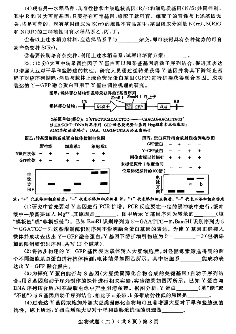山东省聊城市2025年高考模拟试题（二）生物+答案_2024-2026高三（6-6月题库）_2025年04月试卷_0429山东省聊城市2025年高考模拟试题（二）（聊城二模）（全科）