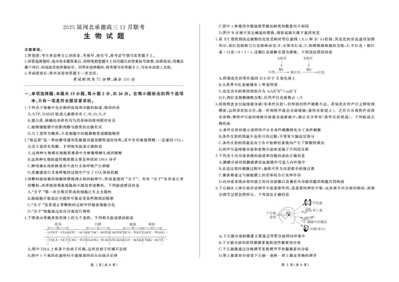 河北省承德市部分学校2024-2025学年高三上学期12月联考生物试题_2024-2025高三（6-6月题库）_2024年12月试卷_1230河北省承德市2024-2025学年高三上学期12月联考
