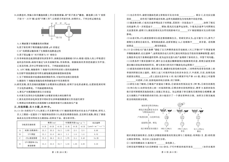 河北省承德市部分学校2024-2025学年高三上学期12月联考生物试题_2024-2025高三（6-6月题库）_2024年12月试卷_1230河北省承德市2024-2025学年高三上学期12月联考
