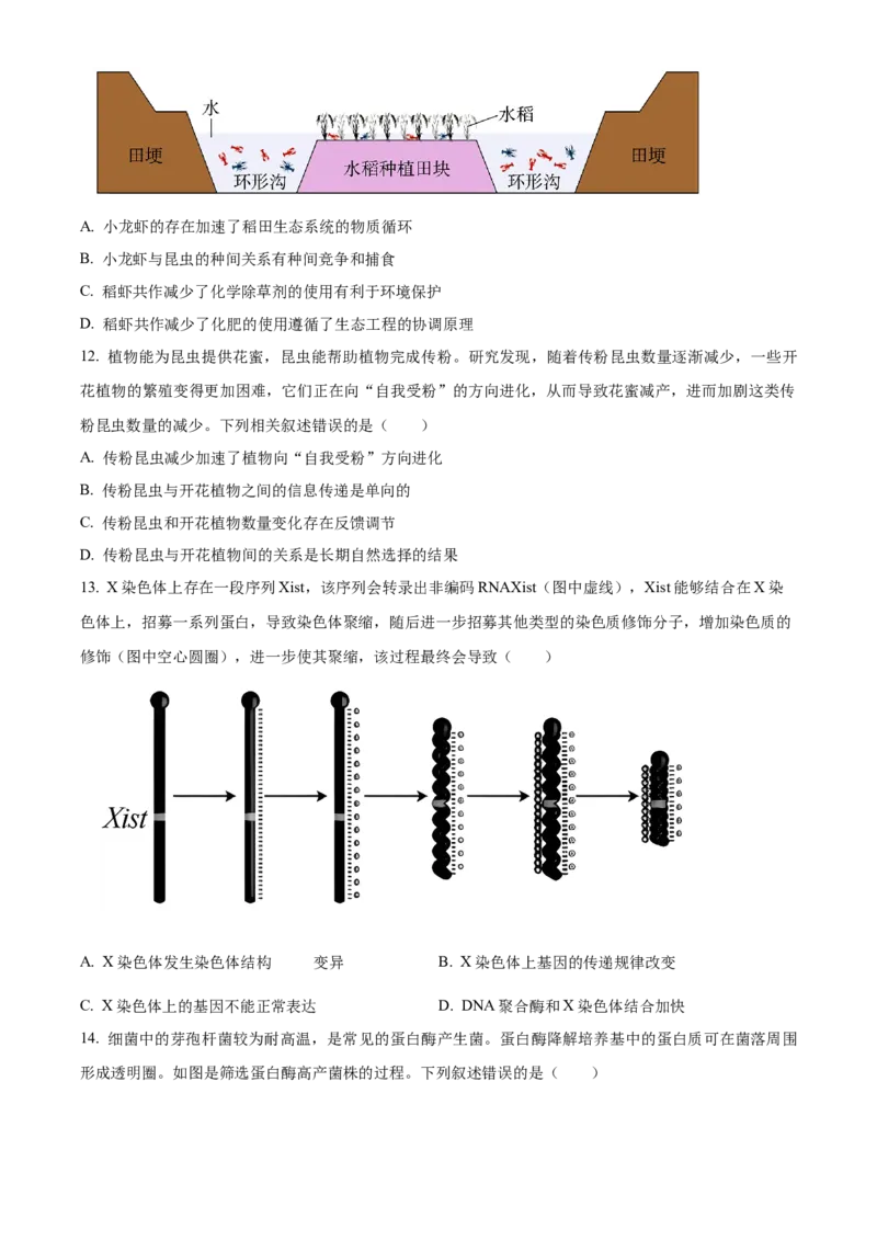 精品解析：辽宁省沈阳市浑南区东北育才学校2023-2024学年高三下学期一模生物试题（原卷版）_2024年3月_013月合集_2024届辽宁省东北育才学校高三下第六次模拟考试