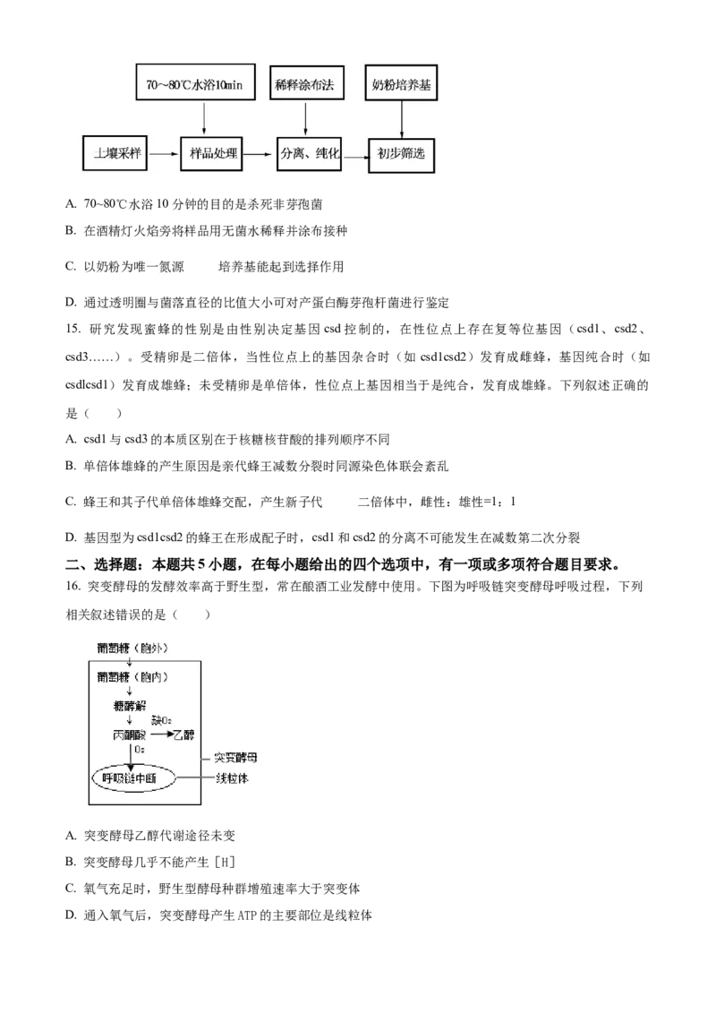 精品解析：辽宁省沈阳市浑南区东北育才学校2023-2024学年高三下学期一模生物试题（原卷版）_2024年3月_013月合集_2024届辽宁省东北育才学校高三下第六次模拟考试