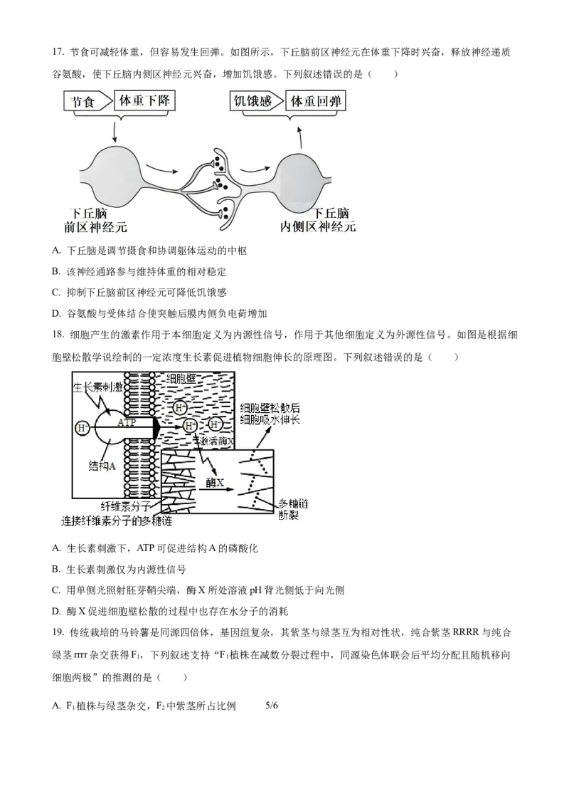 精品解析：辽宁省沈阳市浑南区东北育才学校2023-2024学年高三下学期一模生物试题（原卷版）_2024年3月_013月合集_2024届辽宁省东北育才学校高三下第六次模拟考试