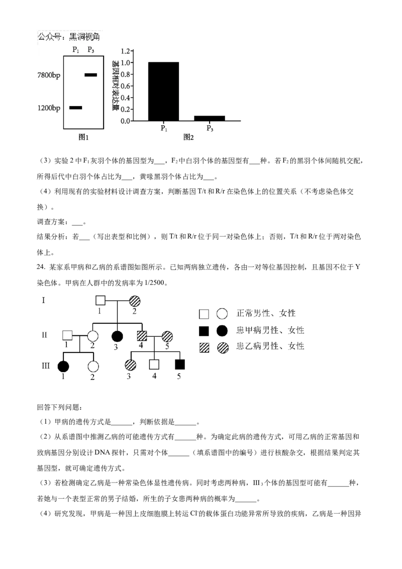山东省泰安第一中学2025届高三上学期11月月考生物试题_2024-2025高三（6-6月题库）_2024年12月试卷_1202山东省泰安第一中学2025届高三上学期11月月考