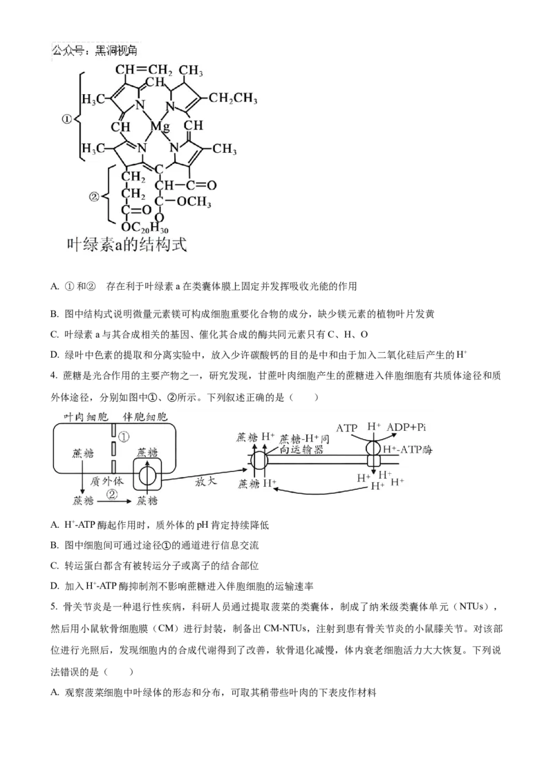 山东省泰安第一中学2025届高三上学期11月月考生物试题_2024-2025高三（6-6月题库）_2024年12月试卷_1202山东省泰安第一中学2025届高三上学期11月月考