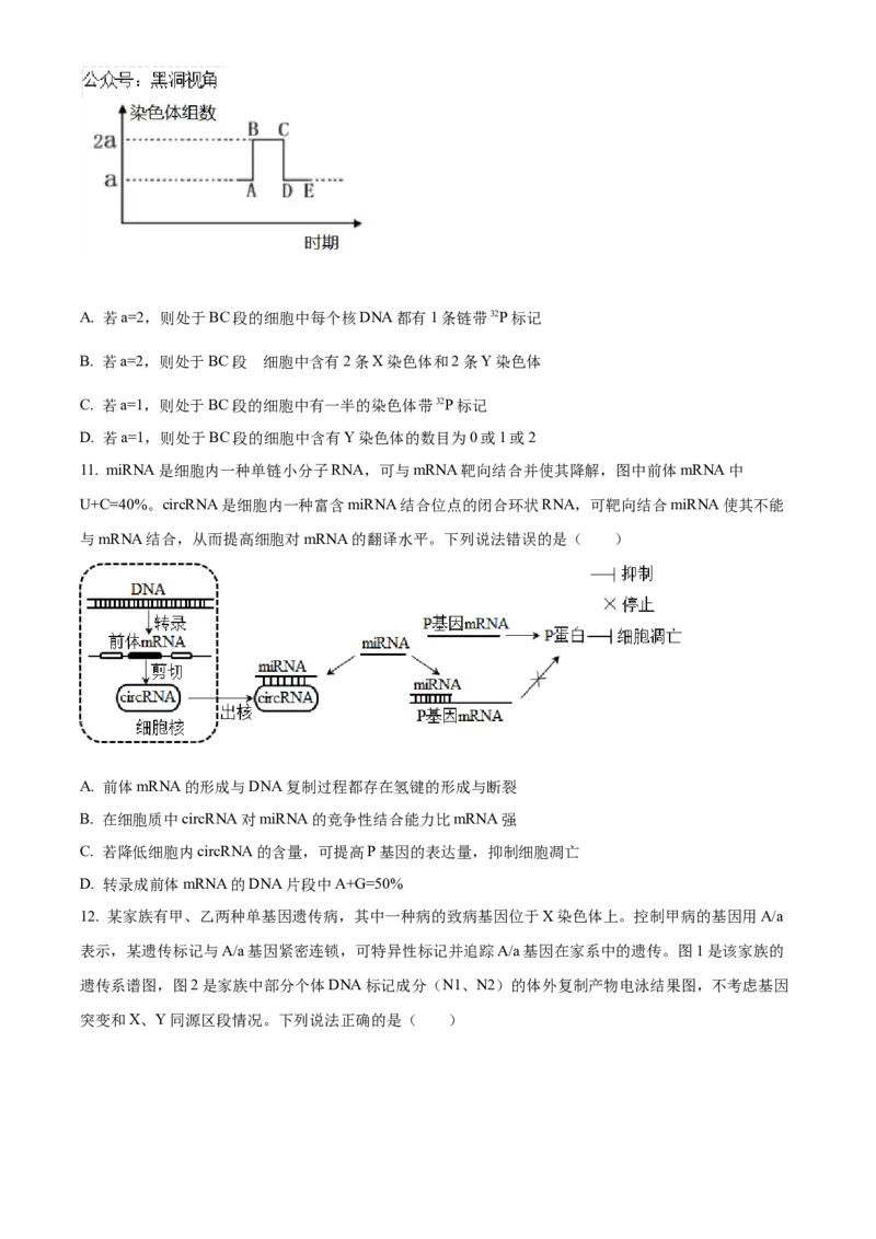 山东省泰安第一中学2025届高三上学期11月月考生物试题_2024-2025高三（6-6月题库）_2024年12月试卷_1202山东省泰安第一中学2025届高三上学期11月月考