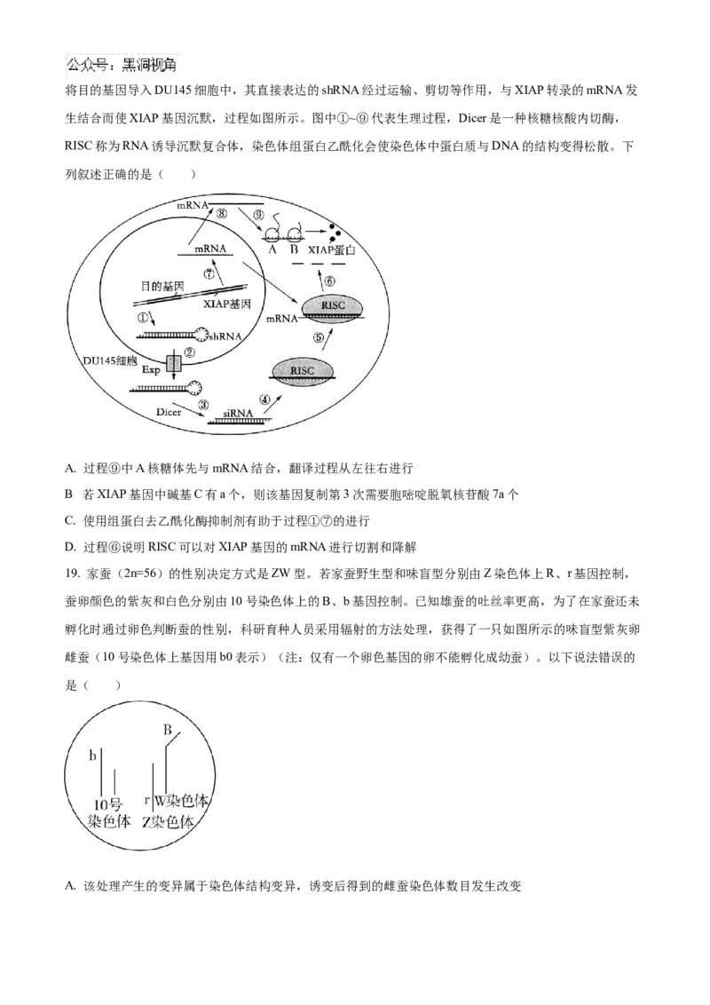 山东省泰安第一中学2025届高三上学期11月月考生物试题_2024-2025高三（6-6月题库）_2024年12月试卷_1202山东省泰安第一中学2025届高三上学期11月月考