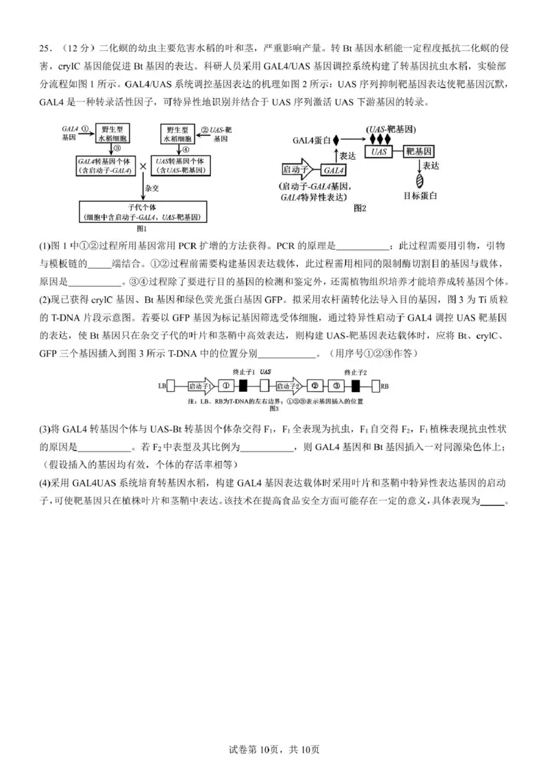 山东师范大学附属中学2024-2025学年高二下学期期中考试生物试题（扫描版有答案）_2024-2025高二（7-7月题库）_2025年05月试卷_0517山东师范大学附属中学2024-2025学年高二下学期4月期中考试