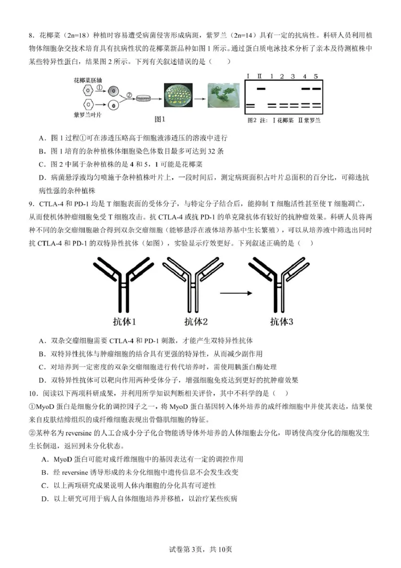山东师范大学附属中学2024-2025学年高二下学期期中考试生物试题（扫描版有答案）_2024-2025高二（7-7月题库）_2025年05月试卷_0517山东师范大学附属中学2024-2025学年高二下学期4月期中考试