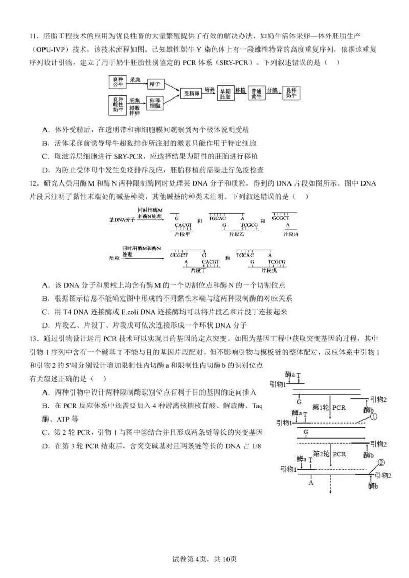 山东师范大学附属中学2024-2025学年高二下学期期中考试生物试题（扫描版有答案）_2024-2025高二（7-7月题库）_2025年05月试卷_0517山东师范大学附属中学2024-2025学年高二下学期4月期中考试