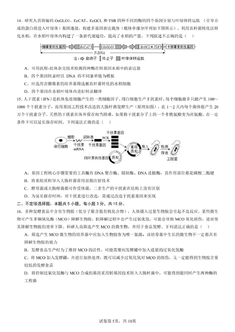山东师范大学附属中学2024-2025学年高二下学期期中考试生物试题（扫描版有答案）_2024-2025高二（7-7月题库）_2025年05月试卷_0517山东师范大学附属中学2024-2025学年高二下学期4月期中考试