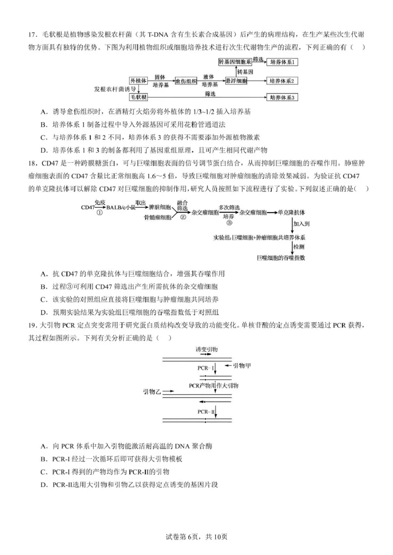 山东师范大学附属中学2024-2025学年高二下学期期中考试生物试题（扫描版有答案）_2024-2025高二（7-7月题库）_2025年05月试卷_0517山东师范大学附属中学2024-2025学年高二下学期4月期中考试