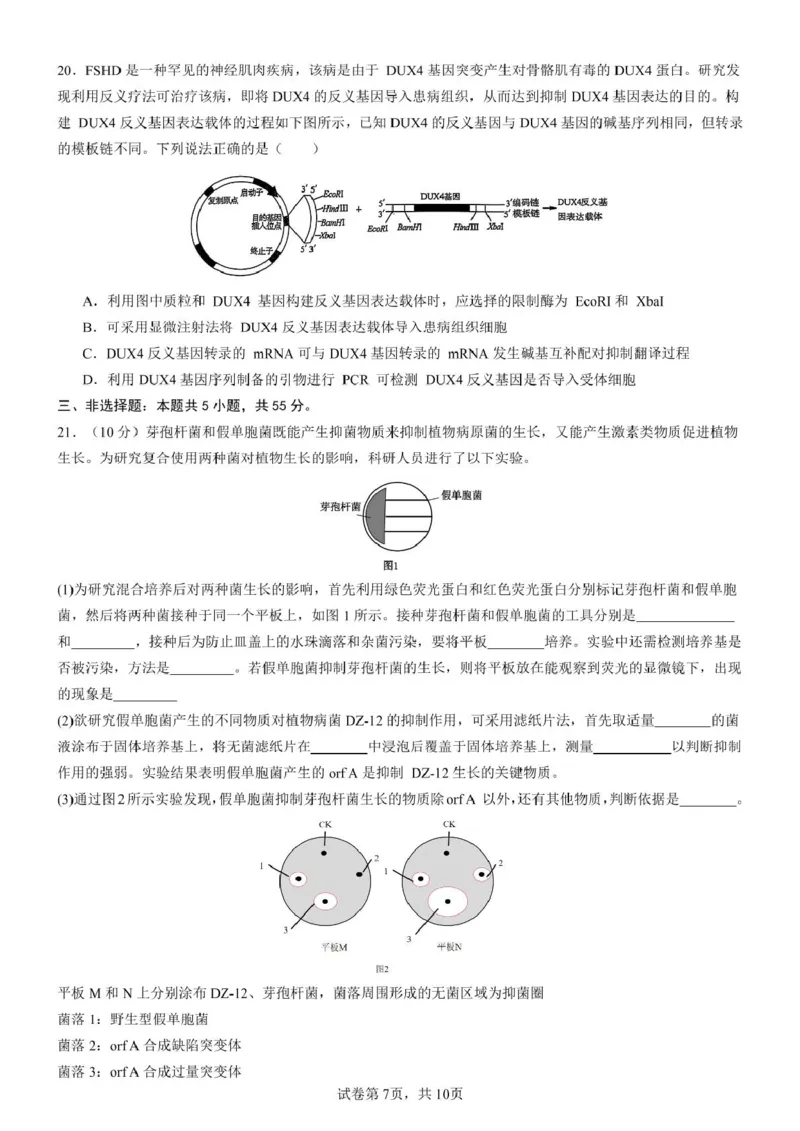 山东师范大学附属中学2024-2025学年高二下学期期中考试生物试题（扫描版有答案）_2024-2025高二（7-7月题库）_2025年05月试卷_0517山东师范大学附属中学2024-2025学年高二下学期4月期中考试