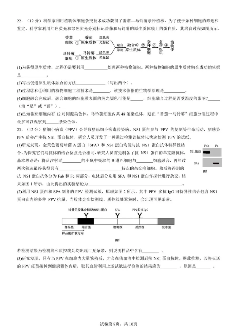 山东师范大学附属中学2024-2025学年高二下学期期中考试生物试题（扫描版有答案）_2024-2025高二（7-7月题库）_2025年05月试卷_0517山东师范大学附属中学2024-2025学年高二下学期4月期中考试