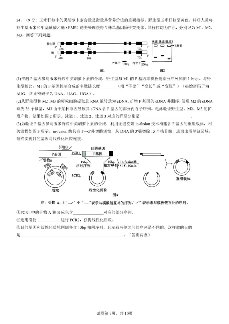 山东师范大学附属中学2024-2025学年高二下学期期中考试生物试题（扫描版有答案）_2024-2025高二（7-7月题库）_2025年05月试卷_0517山东师范大学附属中学2024-2025学年高二下学期4月期中考试