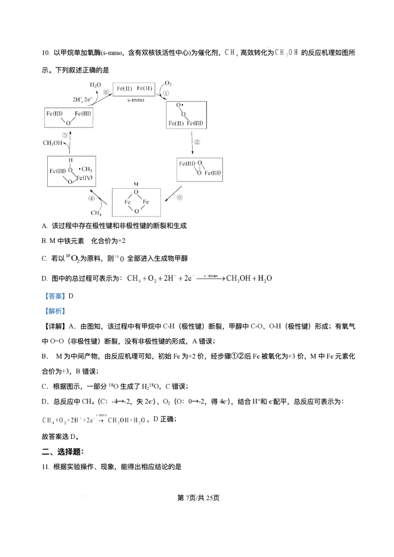 山东省日照市校际联合考试2025-2026学年高二上学期11月期中化学试题含答案_251210山东省日照市2025-2026学年高二上学期期中校际联合考试