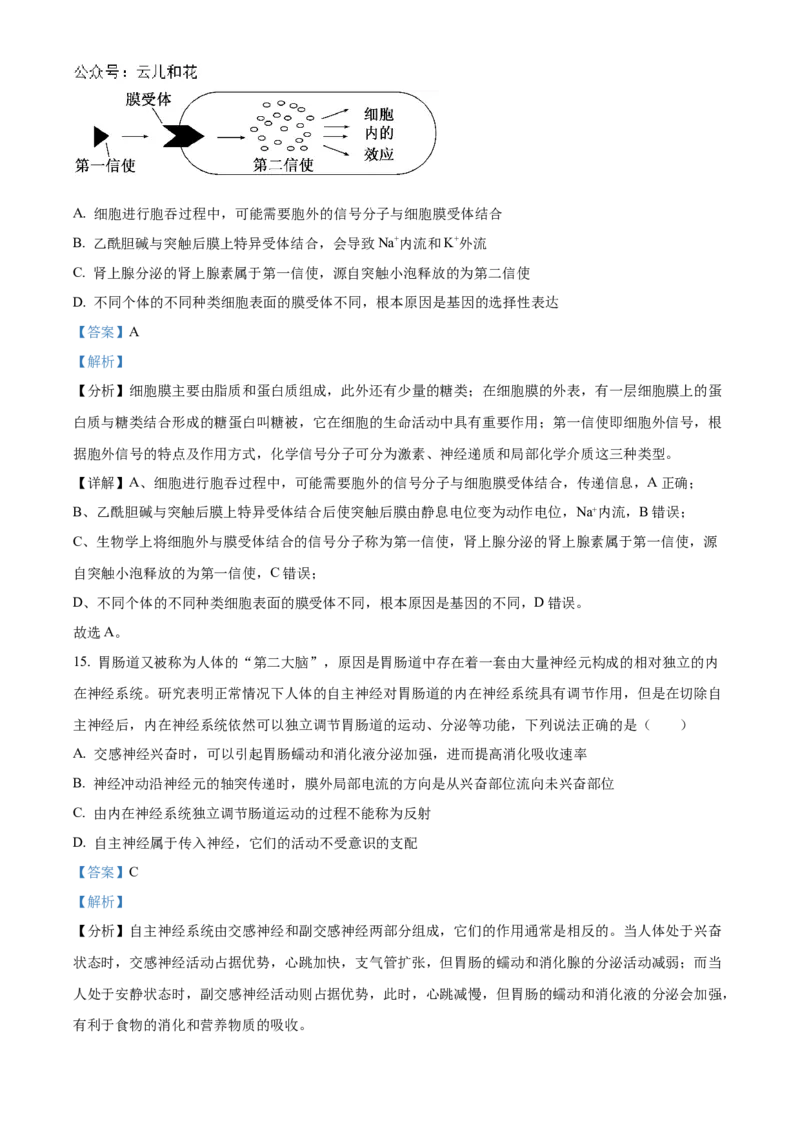 广东省阳江市高新区2024-2025学年高二上学期11月期中生物试题Word版含解析_2024-2025高二（7-7月题库）_2024年12月试卷_1203广东省阳江市高新区2024-2025学年高二上学期11月期中考试