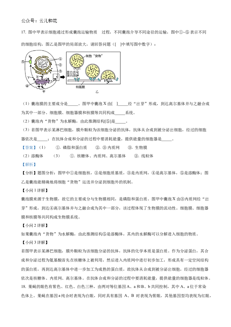 广东省阳江市高新区2024-2025学年高二上学期11月期中生物试题Word版含解析_2024-2025高二（7-7月题库）_2024年12月试卷_1203广东省阳江市高新区2024-2025学年高二上学期11月期中考试