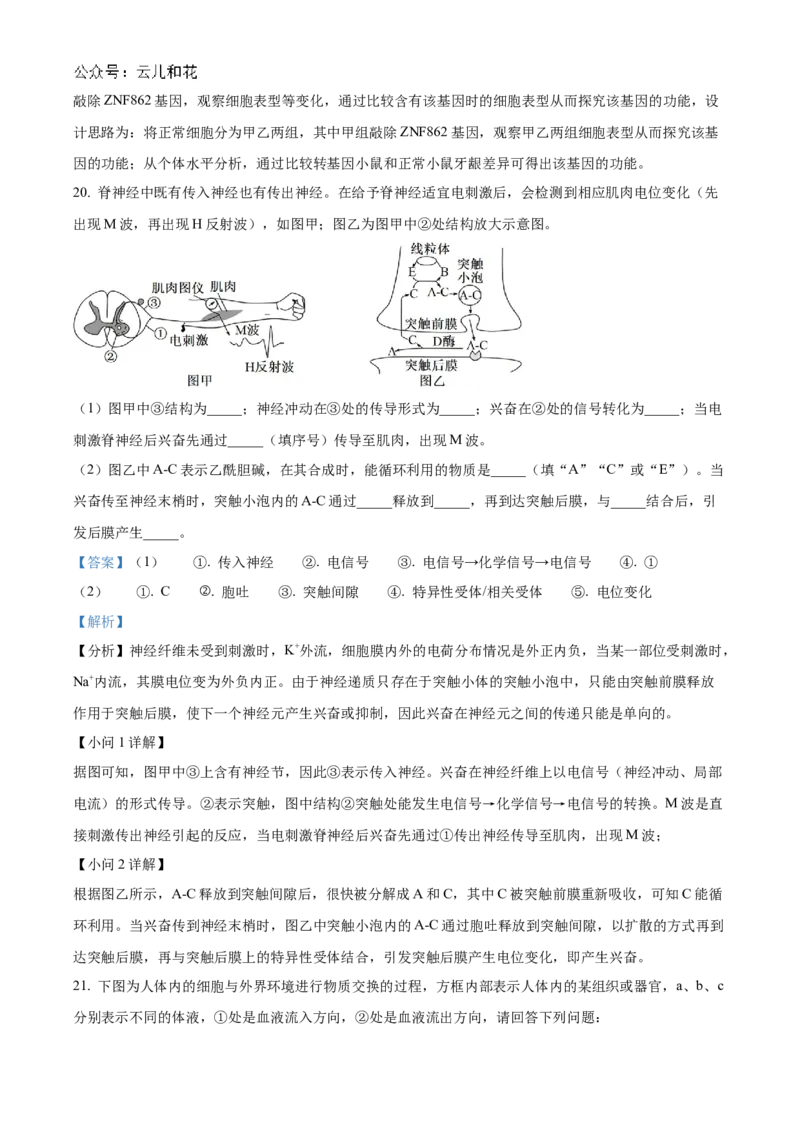 广东省阳江市高新区2024-2025学年高二上学期11月期中生物试题Word版含解析_2024-2025高二（7-7月题库）_2024年12月试卷_1203广东省阳江市高新区2024-2025学年高二上学期11月期中考试