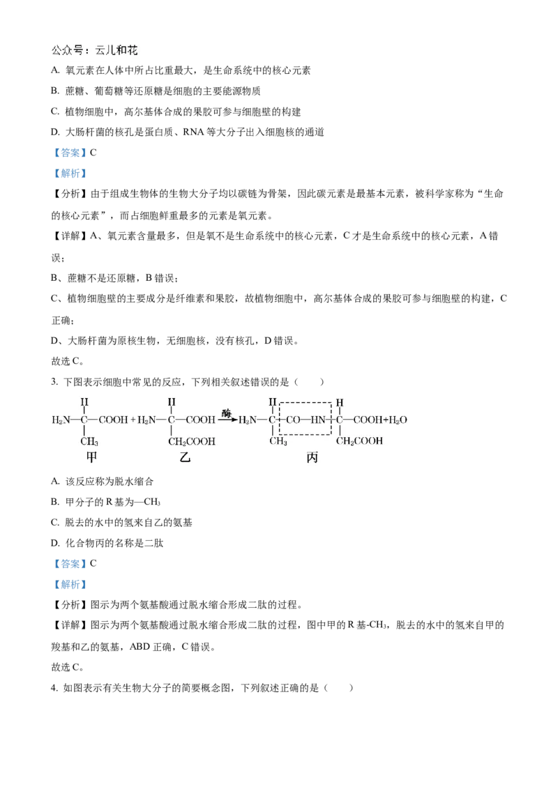 广东省阳江市高新区2024-2025学年高二上学期11月期中生物试题Word版含解析_2024-2025高二（7-7月题库）_2024年12月试卷_1203广东省阳江市高新区2024-2025学年高二上学期11月期中考试