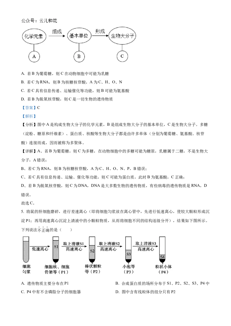 广东省阳江市高新区2024-2025学年高二上学期11月期中生物试题Word版含解析_2024-2025高二（7-7月题库）_2024年12月试卷_1203广东省阳江市高新区2024-2025学年高二上学期11月期中考试
