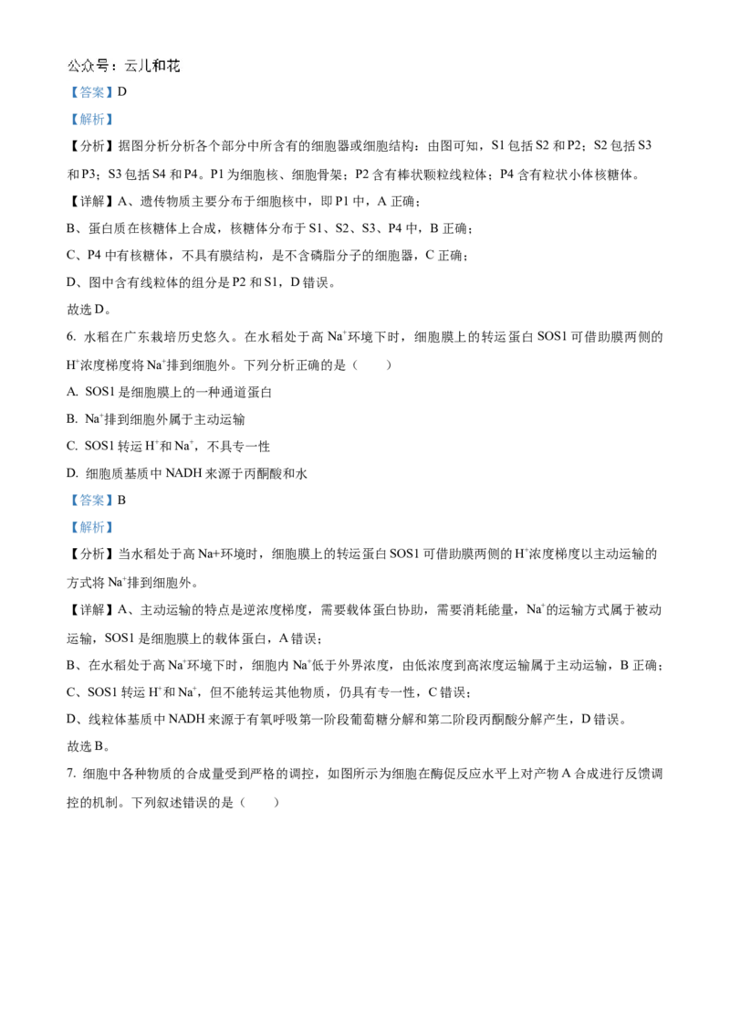 广东省阳江市高新区2024-2025学年高二上学期11月期中生物试题Word版含解析_2024-2025高二（7-7月题库）_2024年12月试卷_1203广东省阳江市高新区2024-2025学年高二上学期11月期中考试