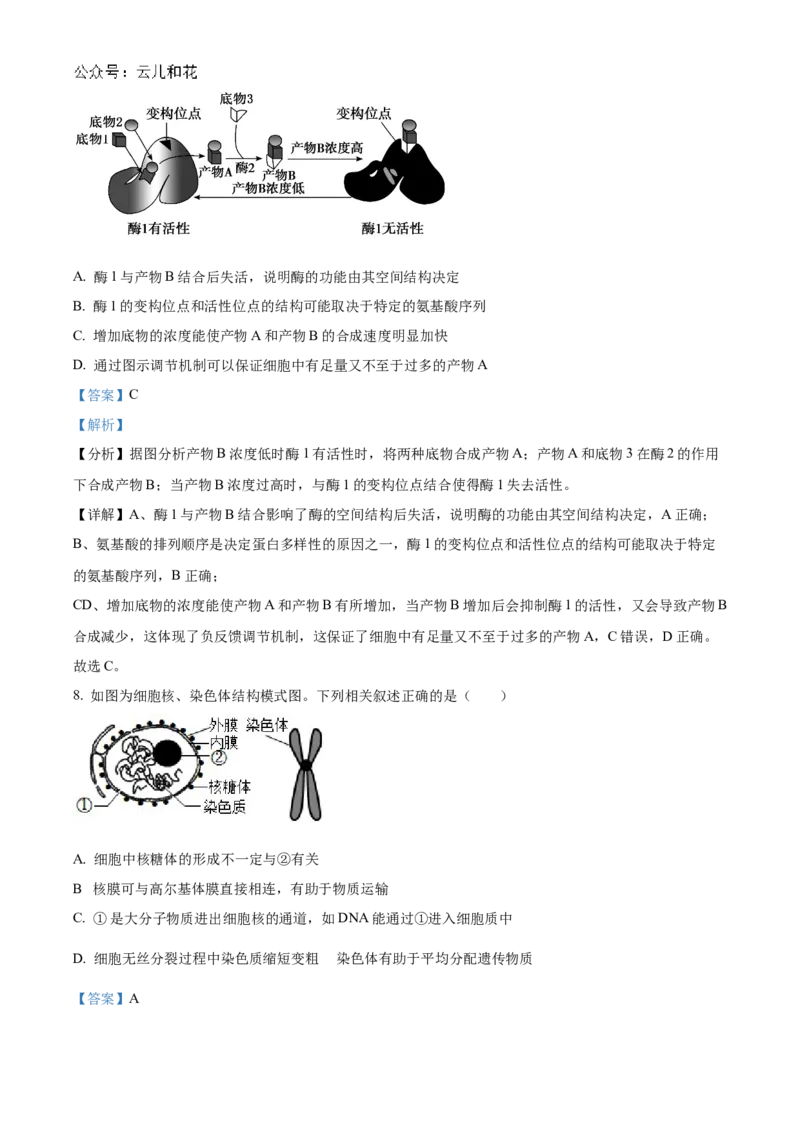 广东省阳江市高新区2024-2025学年高二上学期11月期中生物试题Word版含解析_2024-2025高二（7-7月题库）_2024年12月试卷_1203广东省阳江市高新区2024-2025学年高二上学期11月期中考试