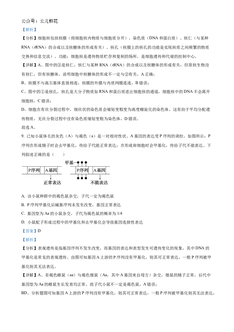 广东省阳江市高新区2024-2025学年高二上学期11月期中生物试题Word版含解析_2024-2025高二（7-7月题库）_2024年12月试卷_1203广东省阳江市高新区2024-2025学年高二上学期11月期中考试