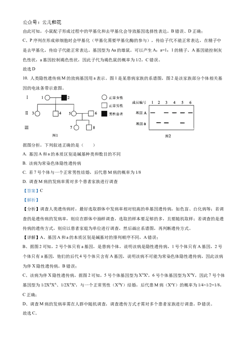 广东省阳江市高新区2024-2025学年高二上学期11月期中生物试题Word版含解析_2024-2025高二（7-7月题库）_2024年12月试卷_1203广东省阳江市高新区2024-2025学年高二上学期11月期中考试