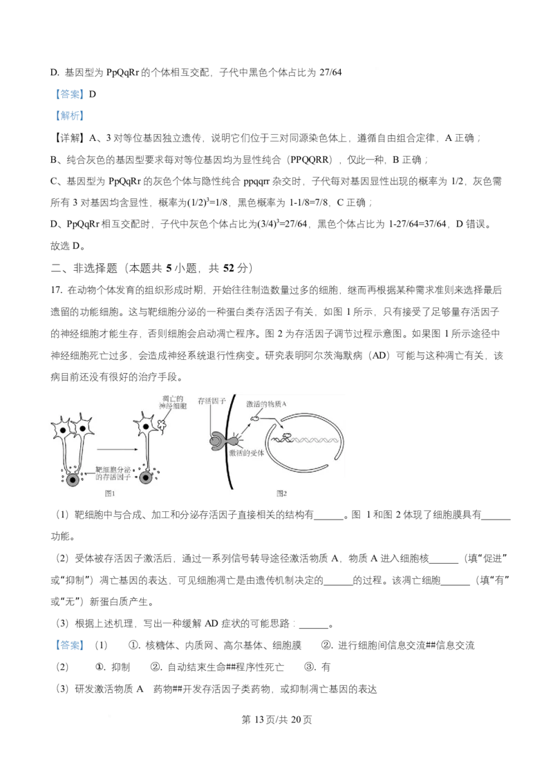 宁夏银川市宁夏育才中学2026届高三上学期第一次月考+生物答案_2024-2026高三（6-6月题库）_2025年09月试卷_250929宁夏银川市育才中学2025-2026学年高三上学期第一次月考（全科）