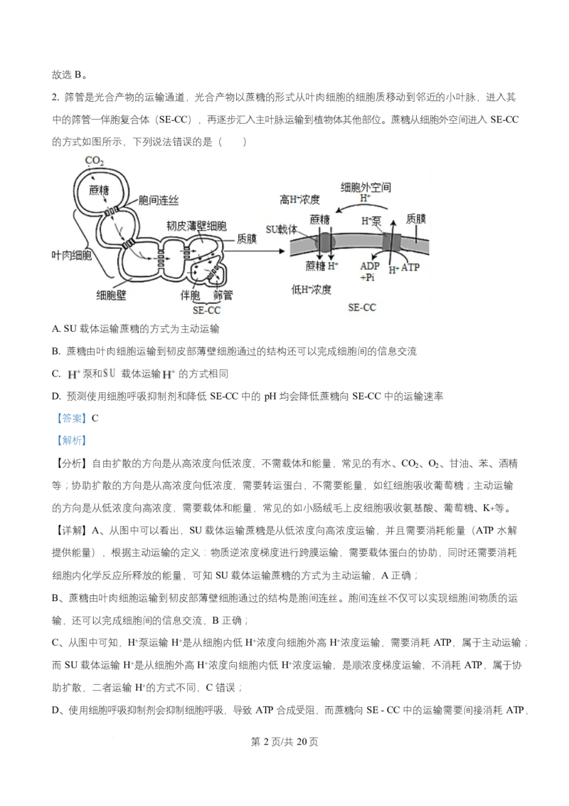 宁夏银川市宁夏育才中学2026届高三上学期第一次月考+生物答案_2024-2026高三（6-6月题库）_2025年09月试卷_250929宁夏银川市育才中学2025-2026学年高三上学期第一次月考（全科）