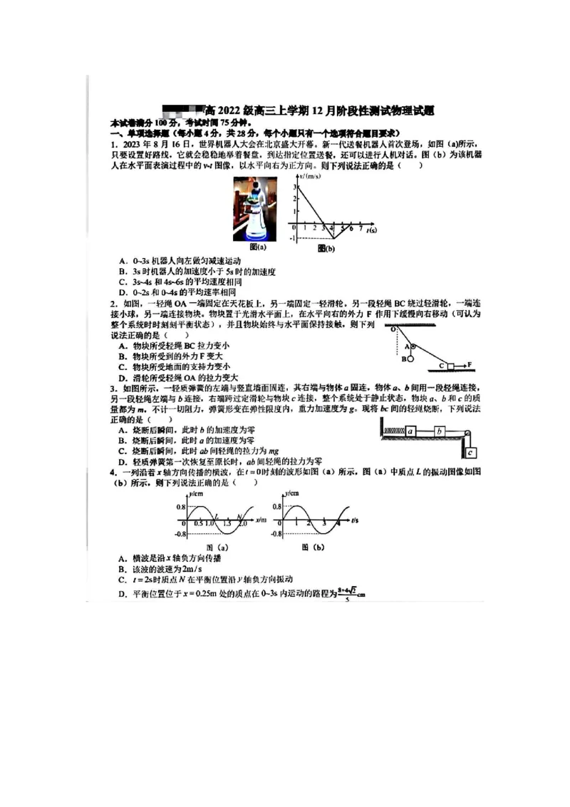 四川省成都市树德中学2024-2025学年高三上学期12月月考地理+答案_2024-2025高三（6-6月题库）_2024年12月试卷_1219四川省成都市树德中学2024-2025学年高三上学期12月月考