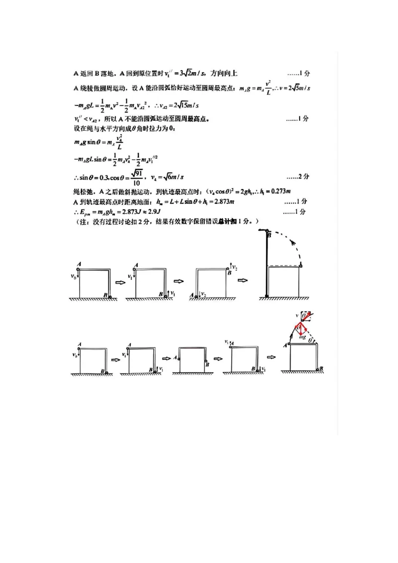 四川省成都市树德中学2024-2025学年高三上学期12月月考地理+答案_2024-2025高三（6-6月题库）_2024年12月试卷_1219四川省成都市树德中学2024-2025学年高三上学期12月月考