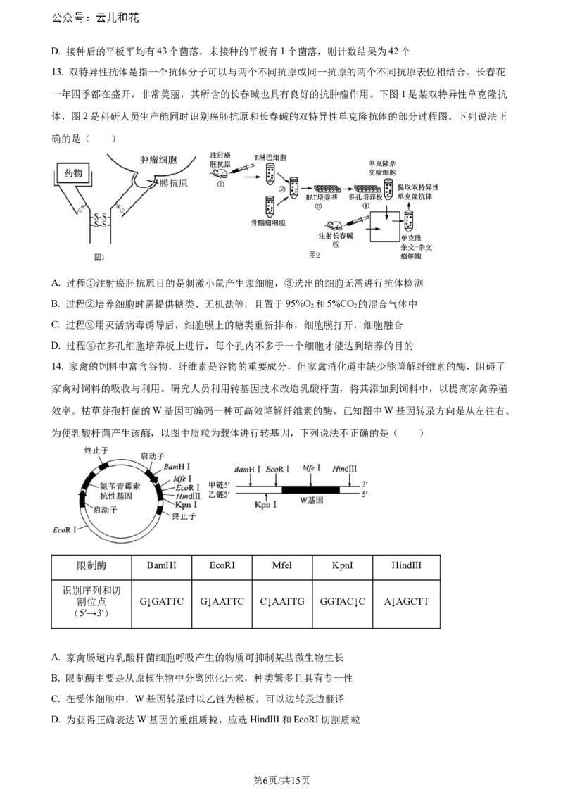 安徽省皖中名校联盟+2023&mdash;2024学年高二下学期期末考试生物试题_2024-2025高二（7-7月题库）_2024年07月试卷_0722安徽省智学大联考皖中联盟（合肥八中）2023-2024学年高二下学期期末考试