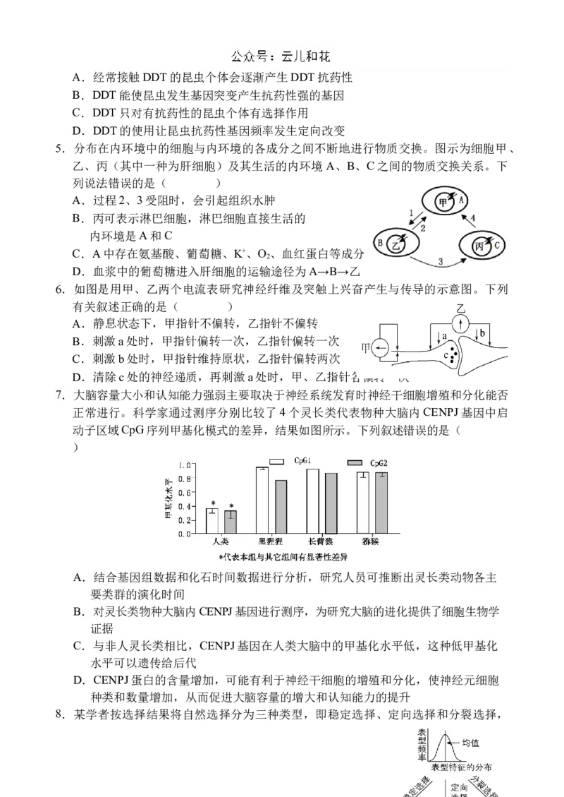 海南省文昌中学2024-2025学年高二上学期第一次月考试题生物Word版含答案_2024-2025高二（7-7月题库）_2024年11月试卷_1105海南省文昌中学2024-2025学年高二上学期第一次月考