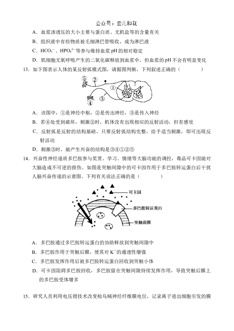 海南省文昌中学2024-2025学年高二上学期第一次月考试题生物Word版含答案_2024-2025高二（7-7月题库）_2024年11月试卷_1105海南省文昌中学2024-2025学年高二上学期第一次月考