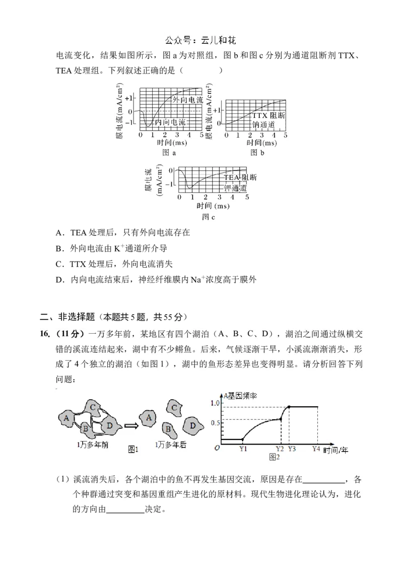 海南省文昌中学2024-2025学年高二上学期第一次月考试题生物Word版含答案_2024-2025高二（7-7月题库）_2024年11月试卷_1105海南省文昌中学2024-2025学年高二上学期第一次月考