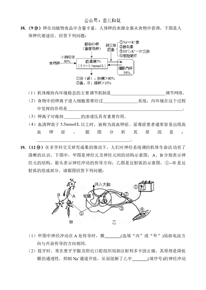 海南省文昌中学2024-2025学年高二上学期第一次月考试题生物Word版含答案_2024-2025高二（7-7月题库）_2024年11月试卷_1105海南省文昌中学2024-2025学年高二上学期第一次月考