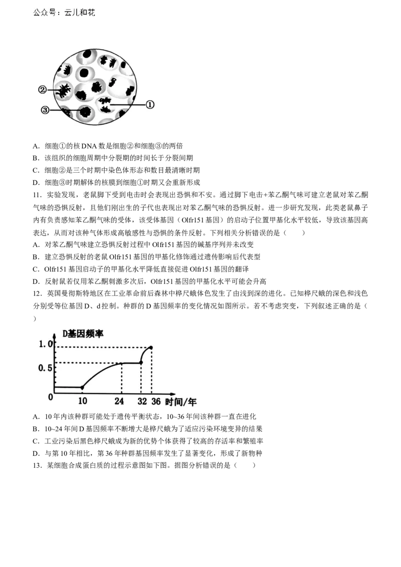 浙江省浙南名校2023-2024学年高二下学期6月期末生物试题_2024-2025高二（7-7月题库）_2024年07月试卷_0702浙江省浙南名校2023-2024学年高二下学期6月期末