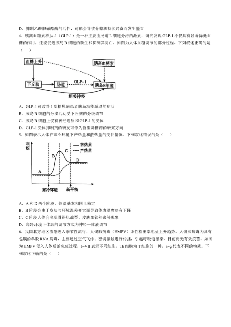河南省周口市2024-2025学年高二上学期1月期末生物试题（有解析）_2024-2025高二（7-7月题库）_2025年02月试卷_0218河南省周口市2024-2025学年高二上学期1月期末考试