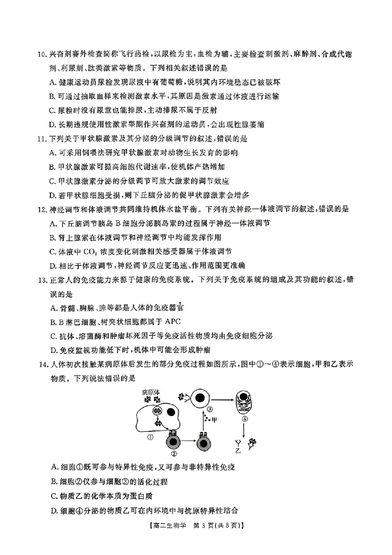 河南省金太阳2024-2025学年高二上学期第二次月考生物试题_2024-2025高二（7-7月题库）_2024年10月试卷_1029河南省金太阳2024-2025学年高二上学期第二次月考
