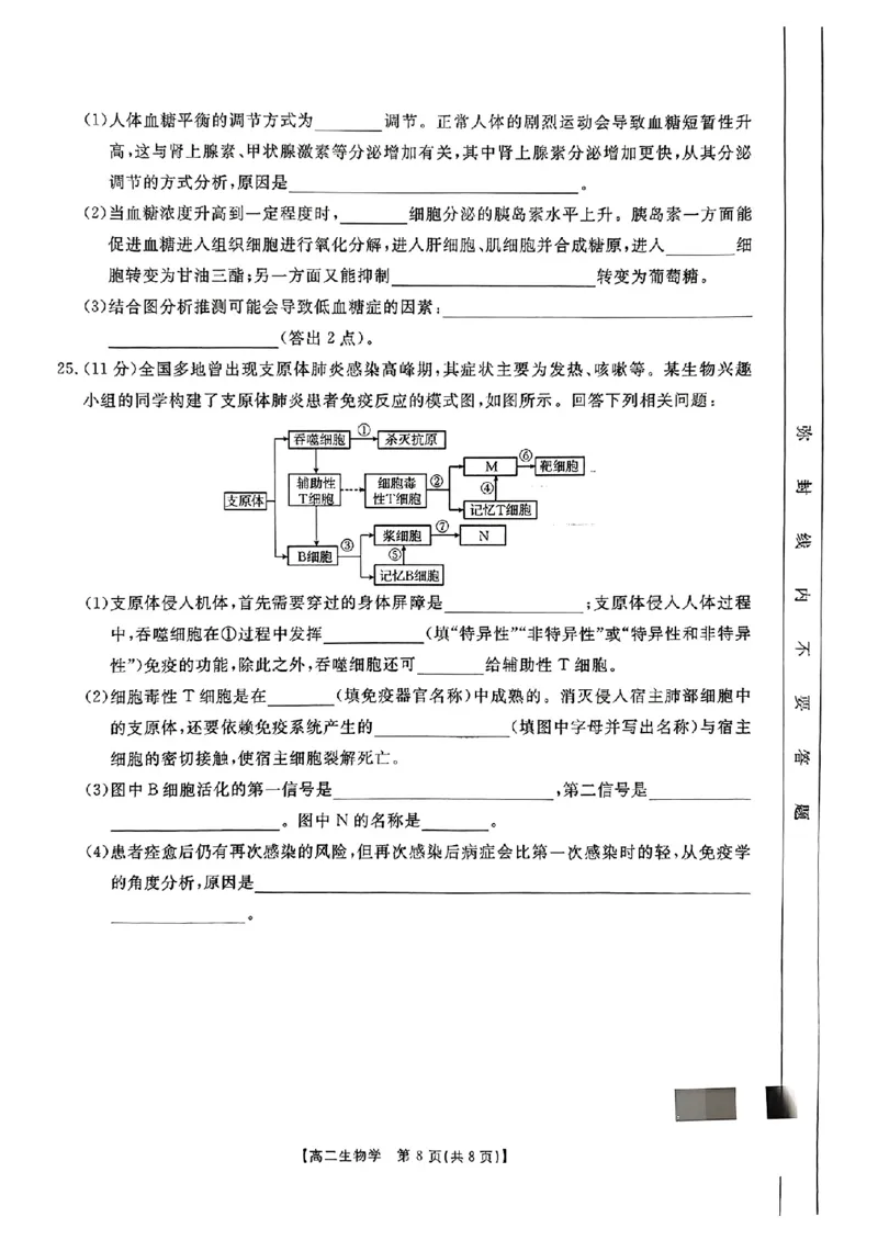河南省金太阳2024-2025学年高二上学期第二次月考生物试题_2024-2025高二（7-7月题库）_2024年10月试卷_1029河南省金太阳2024-2025学年高二上学期第二次月考
