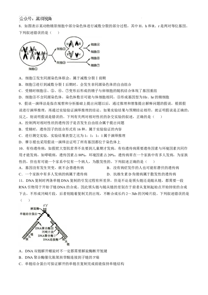 山东省菏泽市2024-2025学年高三上学期期中考试生物试题_2024-2025高三（6-6月题库）_2024年10月试卷_1031山东省菏泽市2024-2025学年高三上学期期中考试