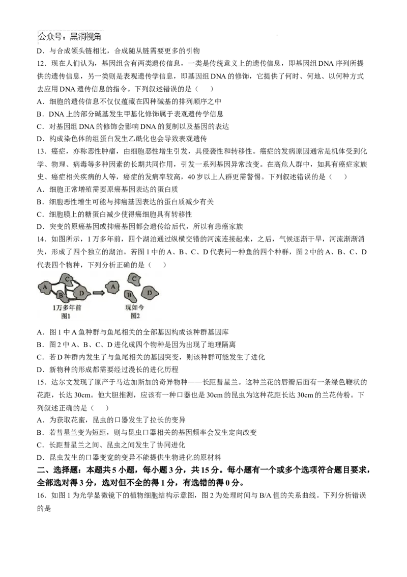 山东省菏泽市2024-2025学年高三上学期期中考试生物试题_2024-2025高三（6-6月题库）_2024年10月试卷_1031山东省菏泽市2024-2025学年高三上学期期中考试