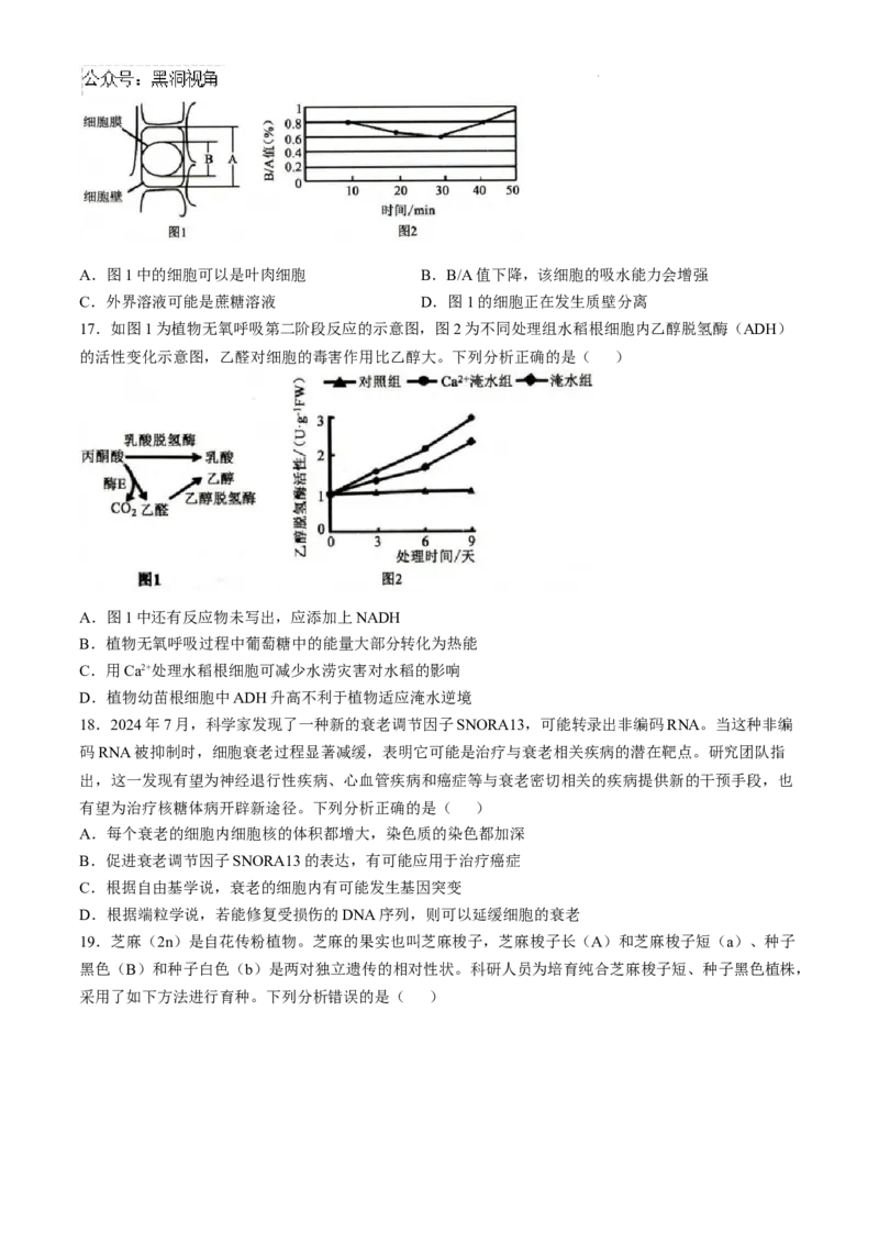 山东省菏泽市2024-2025学年高三上学期期中考试生物试题_2024-2025高三（6-6月题库）_2024年10月试卷_1031山东省菏泽市2024-2025学年高三上学期期中考试