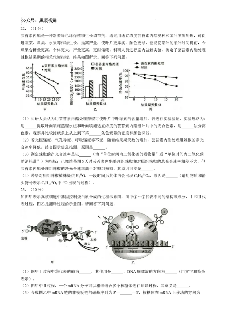 山东省菏泽市2024-2025学年高三上学期期中考试生物试题_2024-2025高三（6-6月题库）_2024年10月试卷_1031山东省菏泽市2024-2025学年高三上学期期中考试