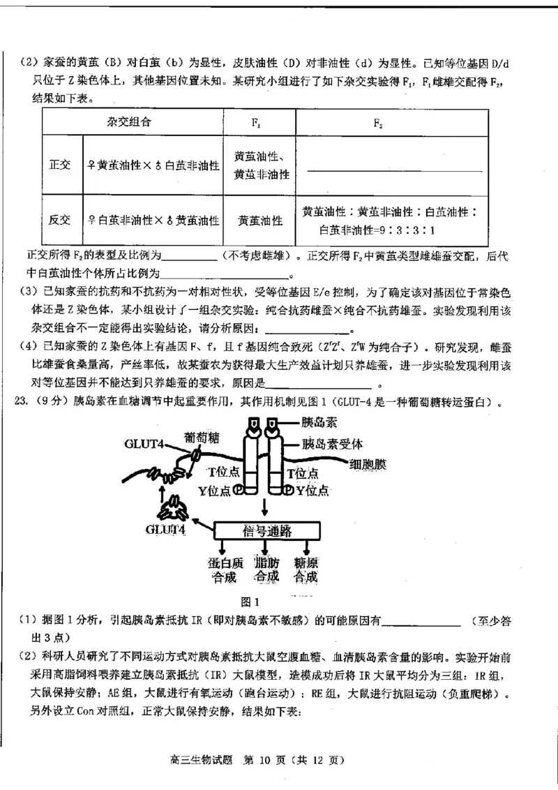 山东中学联盟2025届高三12月百校大联考生物试题_2024-2025高三（6-6月题库）_2024年12月试卷_1223山东省中学联盟百校大联考2024-2025学年高三上学期12月学情诊断（全科）